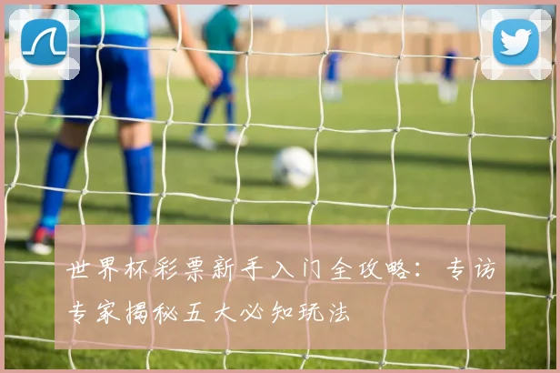 世界杯彩票新手入门全攻略:专访专家揭秘五大必知玩法