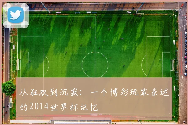 从狂欢到沉寂:一个博彩玩家亲述的2014世界杯记忆