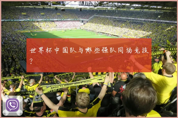 世界杯中国队与哪些强队同场竞技？