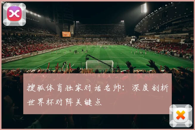 搜狐体育独家对话名帅：深度剖析世界杯对阵关键点