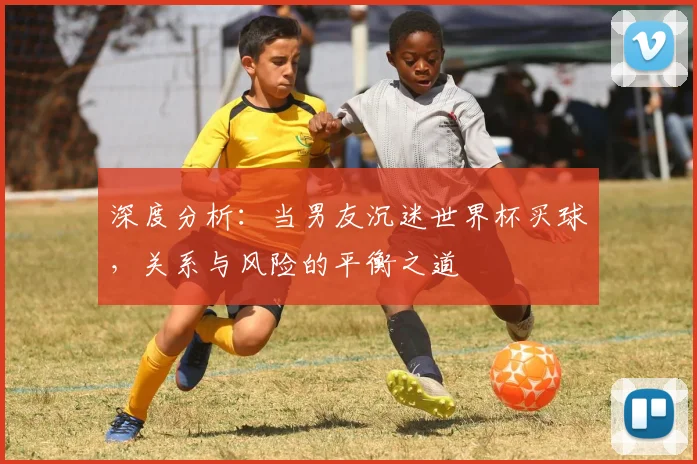 深度分析：当男友沉迷世界杯买球，关系与风险的平衡之道