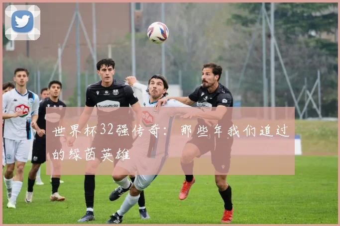 世界杯32强传奇：那些年我们追过的绿茵英雄