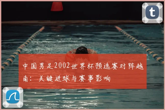中国男足2002世界杯预选赛对阵越南:关键进球与赛事影响