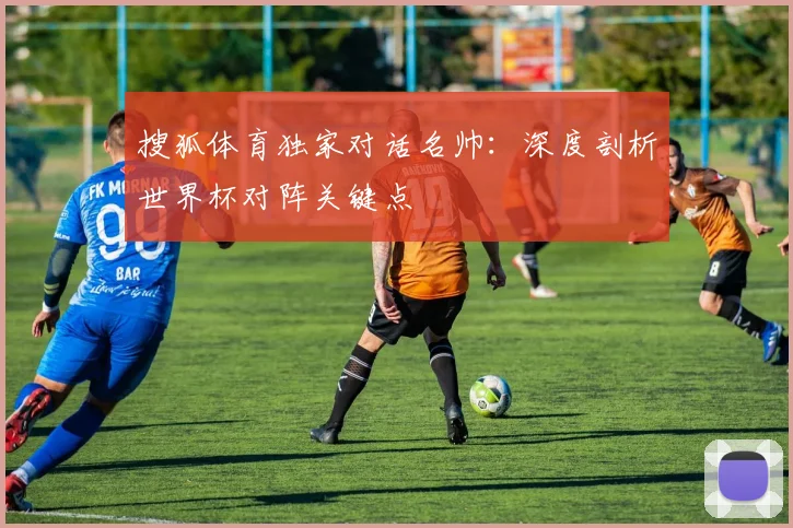 搜狐体育独家对话名帅:深度剖析世界杯对阵关键点