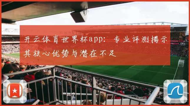 开云体育世界杯app：专业评测揭示其核心优势与潜在不足